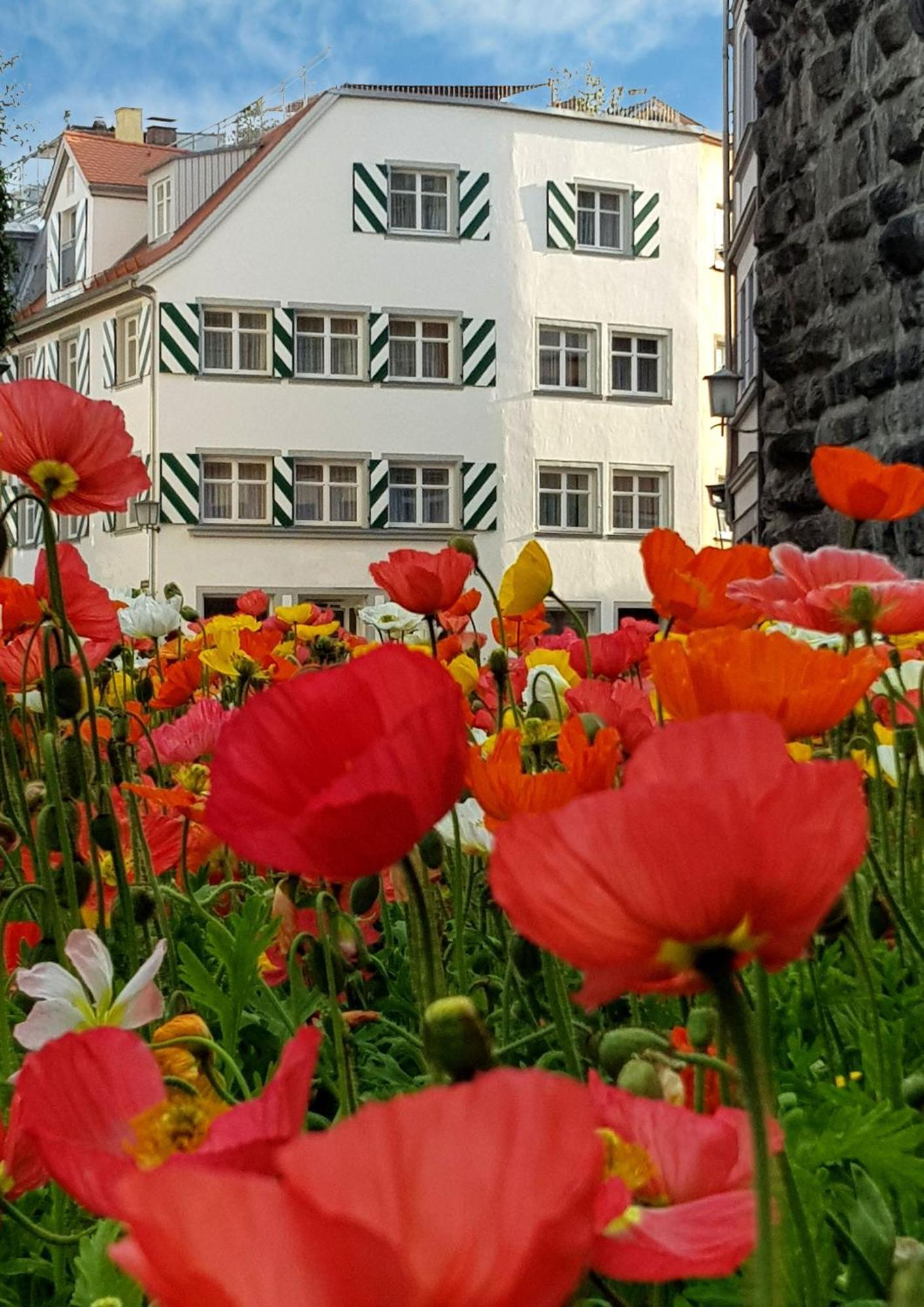 Adoris Ferienwohnungen Auf Der Lindauer Insel ลินเดา ภายนอก รูปภาพ